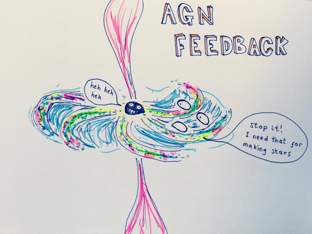 AGN Feedback